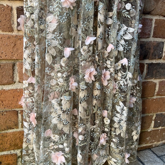 Dress the Population Blush Floral Embroidered Tulle Long Dress - Picture 5 of 16